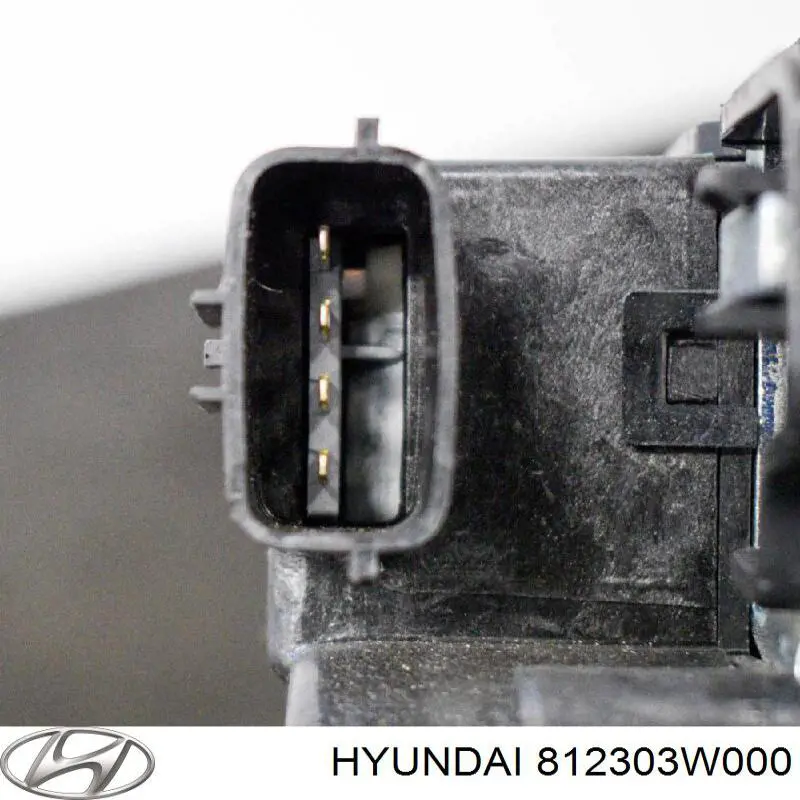 812303W000 Hyundai/Kia Fecho de tampa de porta-malas (de 3ª/5ª porta traseira)