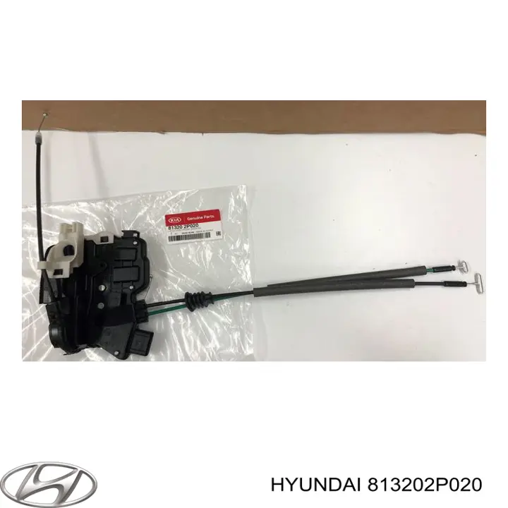 813202P020 Hyundai/Kia Fecho da porta dianteira direita