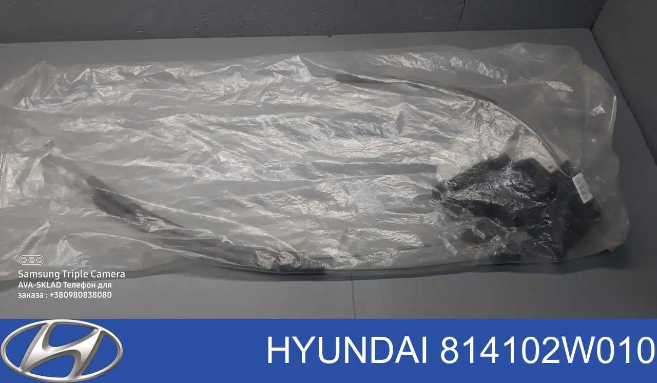 814102W010 Hyundai/Kia Fecho da porta traseira esquerda