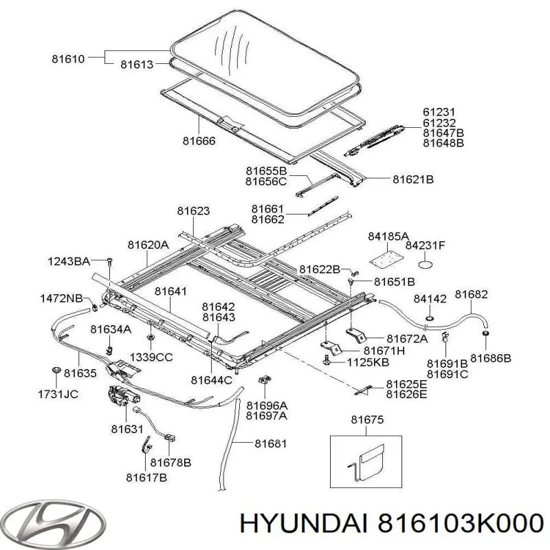 816103K000 Hyundai/Kia Tampa de alcapão do teto