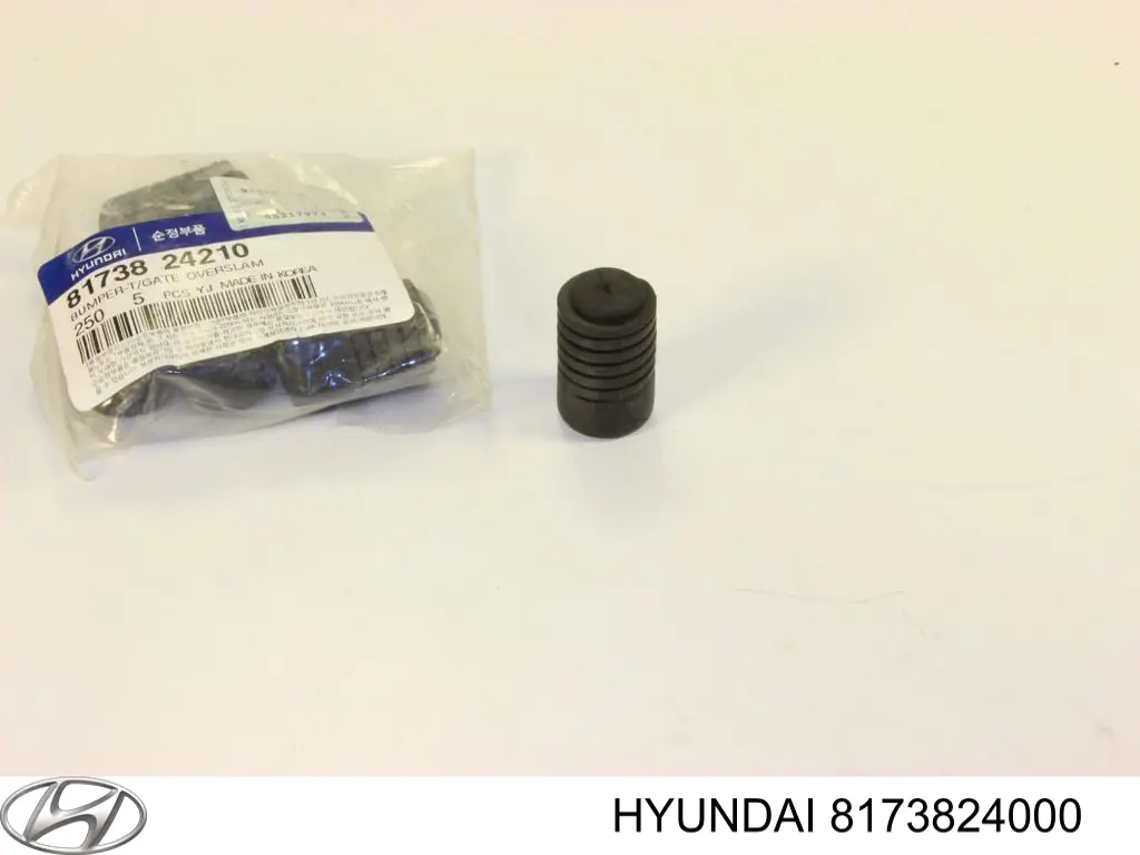 Compre 8173824000 Hyundai/Kia Pára-choque (grade de proteção) de tampa de porta-malas (de 3ª/5ª porta traseira)