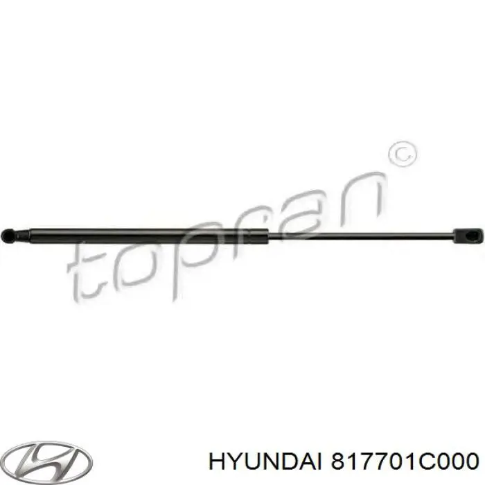 Amortecedor de tampa de porta-malas (de 3ª/5ª porta traseira) Hyundai/Kia 817701C000 preço, a partir de 16,37 USD