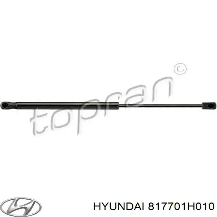 Compre 817701H010 Hyundai/Kia Amortecedor de tampa de porta-malas (de 3ª/5ª porta traseira)