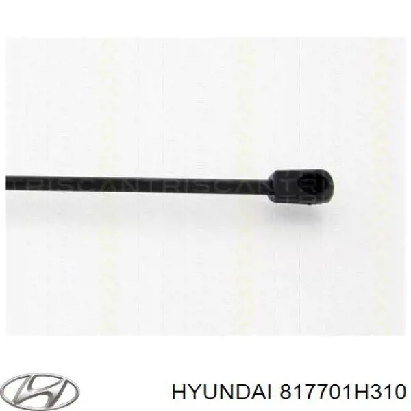 Compre 817701H310 Hyundai/Kia Amortecedor de tampa de porta-malas (de 3ª/5ª porta traseira)