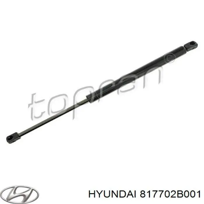 Amortecedor de tampa de porta-malas (de 3ª/5ª porta traseira) Hyundai/Kia 817702B001 preço, a partir de 20,10 USD