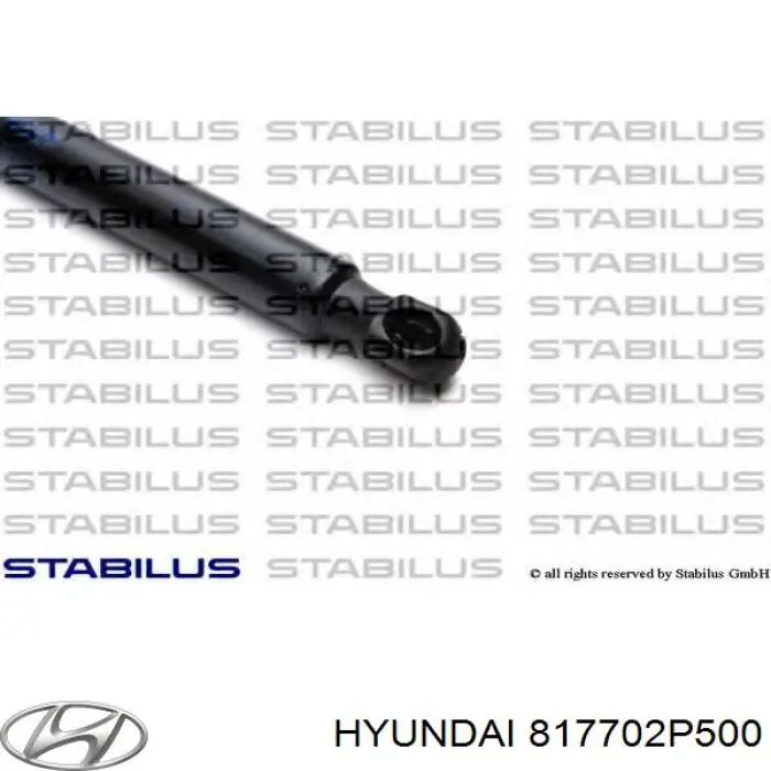 817702P500 Hyundai/Kia Amortecedor de tampa de porta-malas (de 3ª/5ª porta traseira)