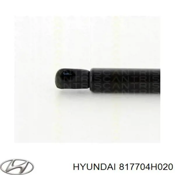 817704H020 Hyundai/Kia Amortecedor de tampa de porta-malas (de 3ª/5ª porta traseira)