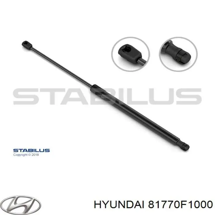81770F1000 Hyundai/Kia Amortecedor de tampa de porta-malas (de 3ª/5ª porta traseira)