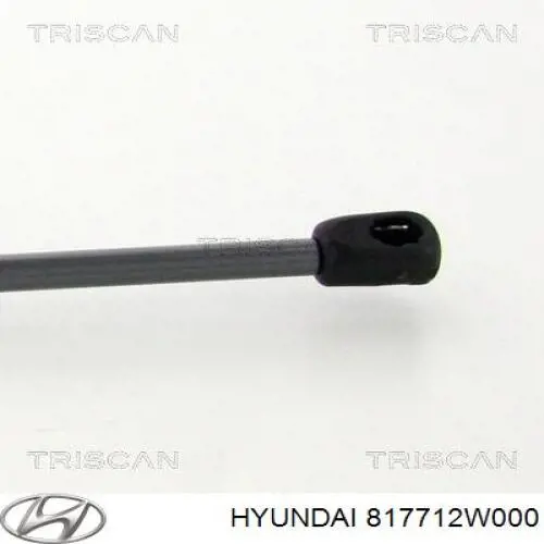 Amortecedor de tampa de porta-malas (de 3ª/5ª porta traseira) Hyundai/Kia 817712W000 preço, a partir de 15,68 USD