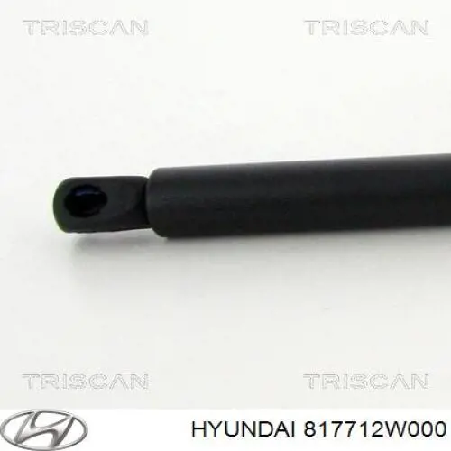 817712W000 Hyundai/Kia Amortecedor de tampa de porta-malas (de 3ª/5ª porta traseira)