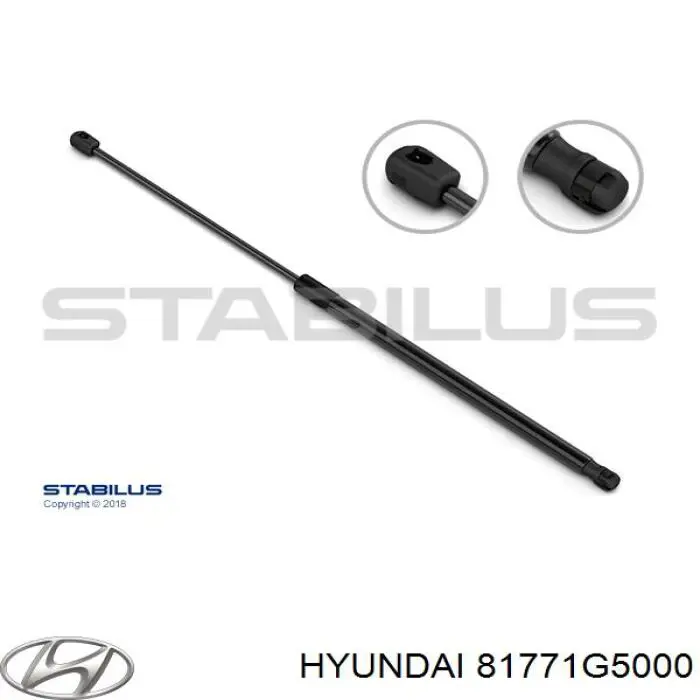 81771G5000 Hyundai/Kia Amortecedor de tampa de porta-malas (de 3ª/5ª porta traseira)