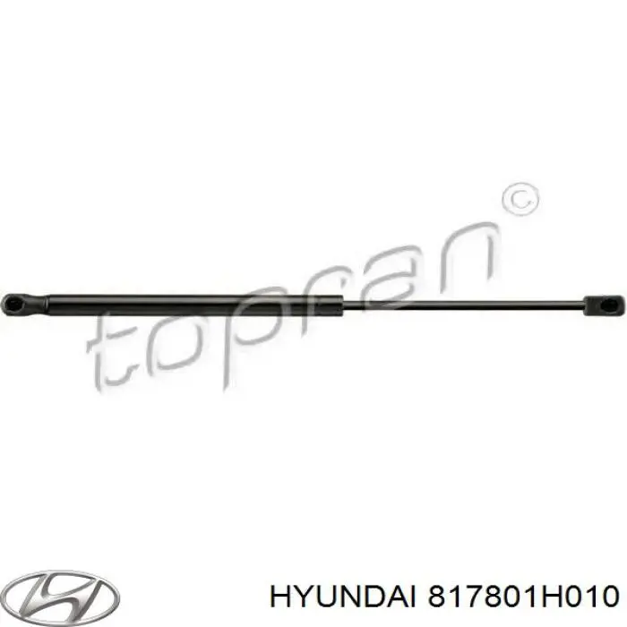 Amortecedor de tampa de porta-malas (de 3ª/5ª porta traseira) Hyundai/Kia 817801H010 preço, a partir de 11,03 USD