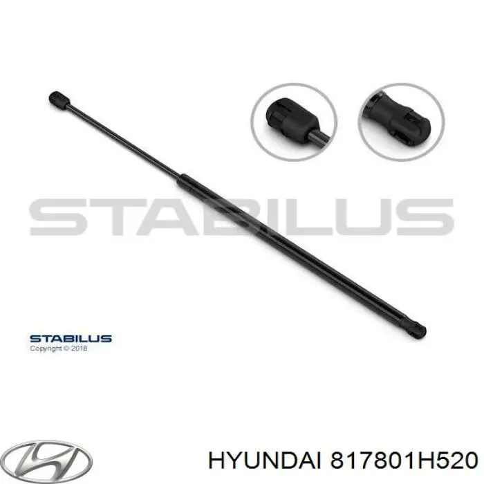 Compre 817801H520 Hyundai/Kia Amortecedor de tampa de porta-malas (de 3ª/5ª porta traseira)