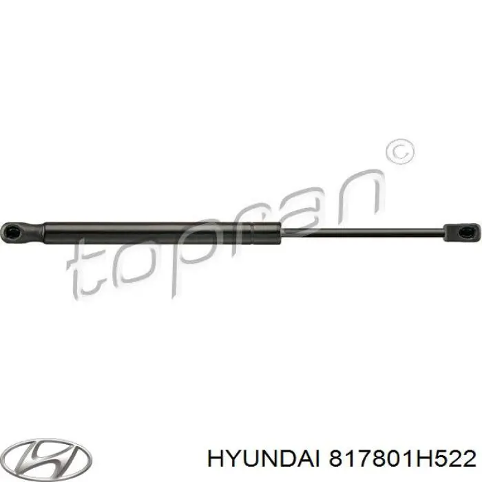 Amortecedor de tampa de porta-malas (de 3ª/5ª porta traseira) Hyundai/Kia 817801H522 preço, a partir de 35,11 USD