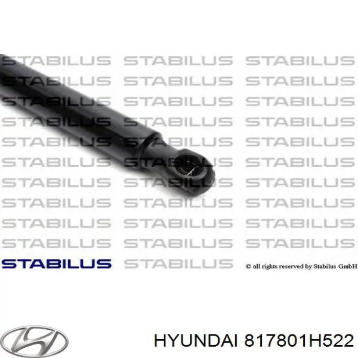 Compre 817801H522 Hyundai/Kia Amortecedor de tampa de porta-malas (de 3ª/5ª porta traseira)