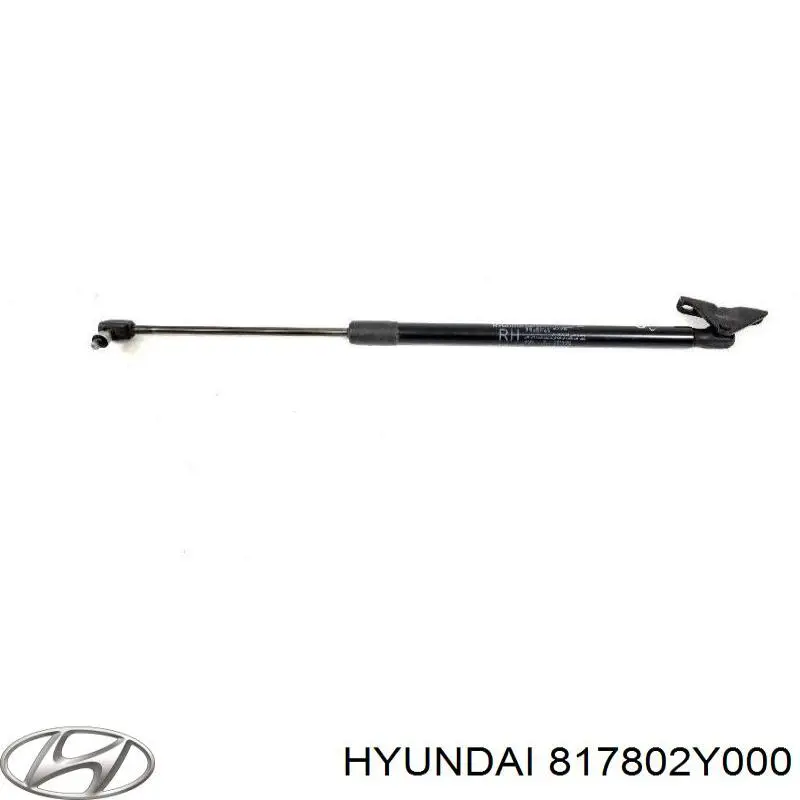 817802Y000 Hyundai/Kia Amortecedor de tampa de porta-malas (de 3ª/5ª porta traseira)