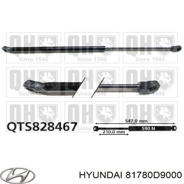 Amortecedor de tampa de porta-malas (de 3ª/5ª porta traseira) Hyundai/Kia 81770F1000FFF preço, a partir de 11,09 USD