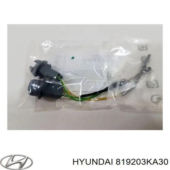 819203KA30 Hyundai/Kia Fecho de ignição