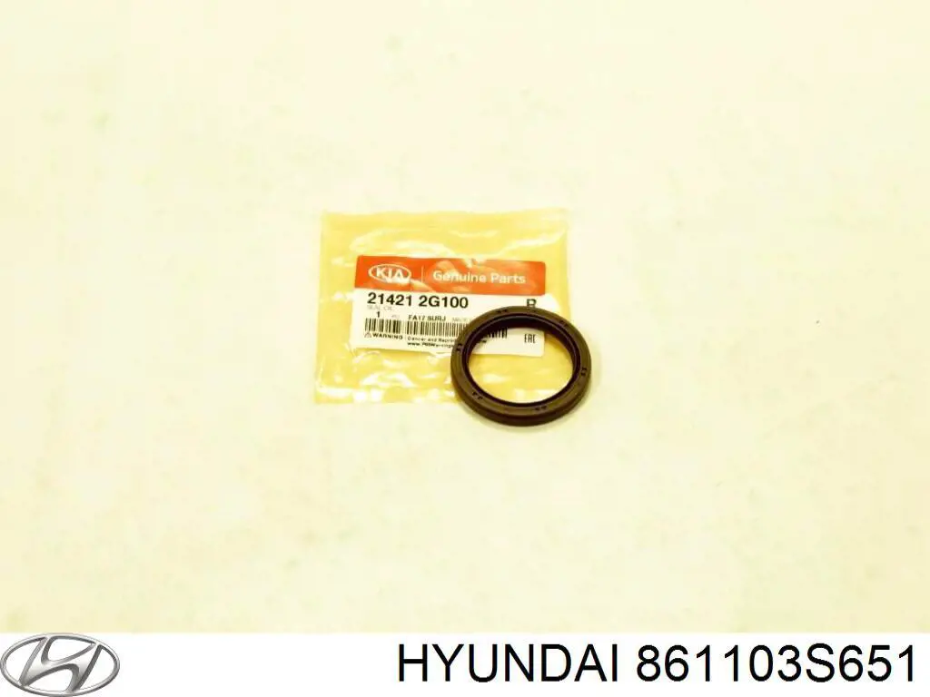 861103S651 Hyundai/Kia Pára-brisas