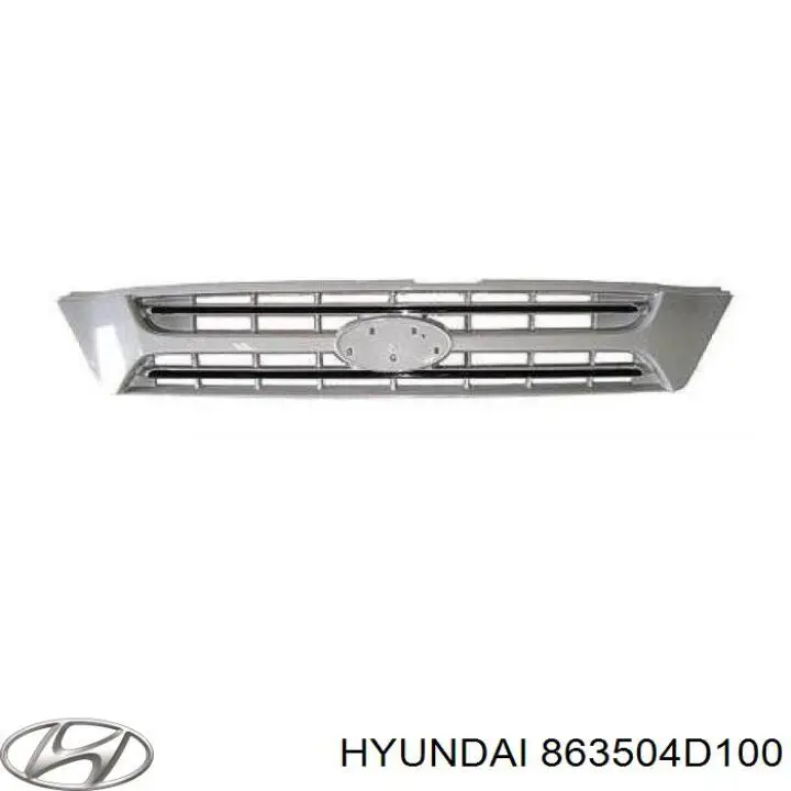 Grelha do radiador para KIA Carnival III VQ