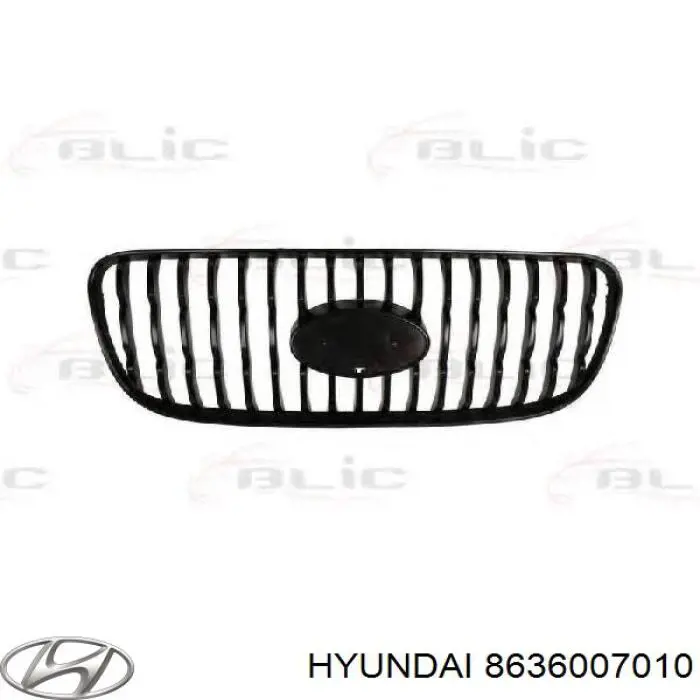 Grelha do radiador Hyundai/Kia 8636007010 preço, a partir de 15,40 USD