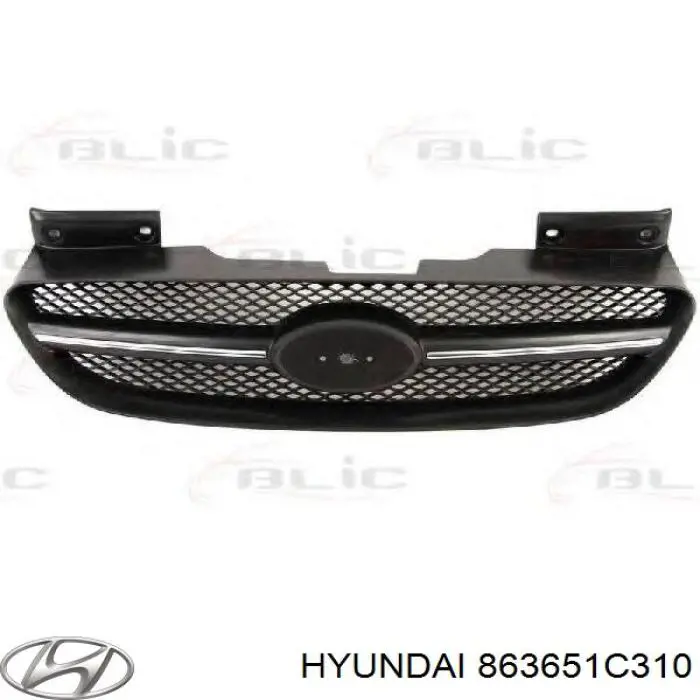 Grelha do radiador Hyundai/Kia 863651C310 preço, a partir de 31,18 USD