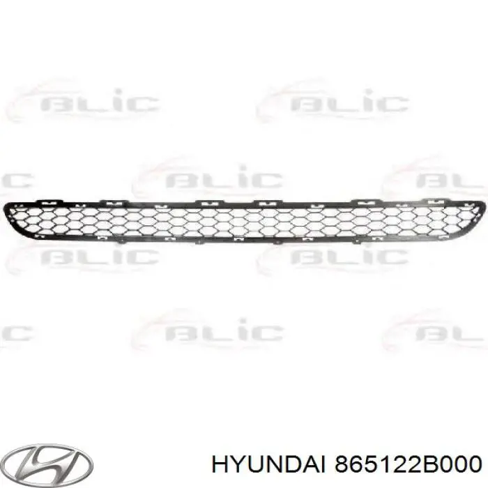 865122B000 Hyundai/Kia Grelha do radiador