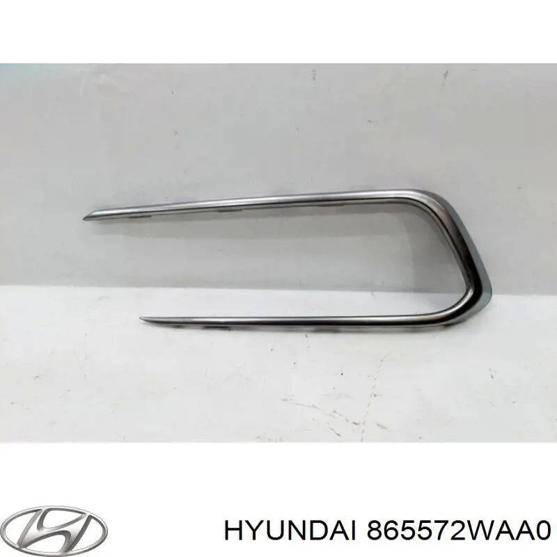 865572WAA0 Hyundai/Kia Borda (orla) das luzes de nevoeiro esquerda