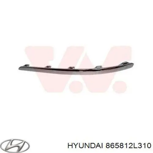 865812L310 Hyundai/Kia 