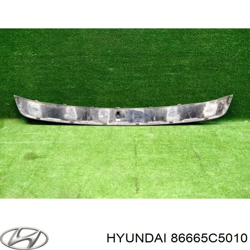 Placa sobreposta do pára-choque traseiro Hyundai/Kia 86665C5010 preço, a partir de 143,86 USD