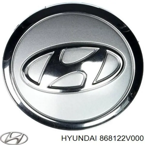 Guarda-barras direito do pára-lama dianteiro Hyundai/Kia 868122V000 preço, a partir de 79,73 USD