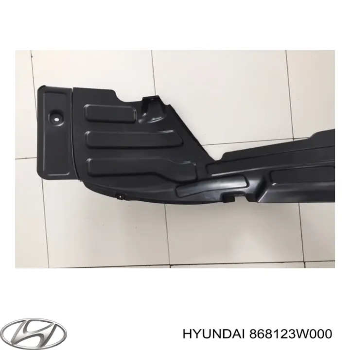 Guarda-barras direito do pára-lama dianteiro Hyundai/Kia 868123W000 preço, a partir de 18,05 USD