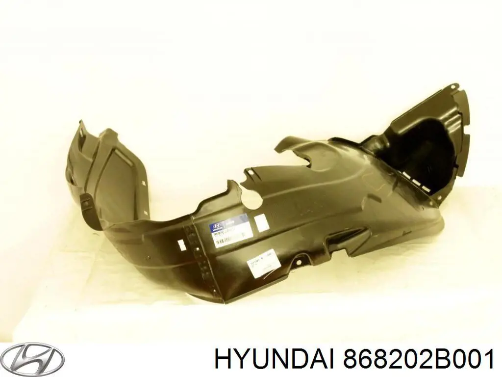 868202B001 Hyundai/Kia Guarda-barras direito do pára-lama dianteiro