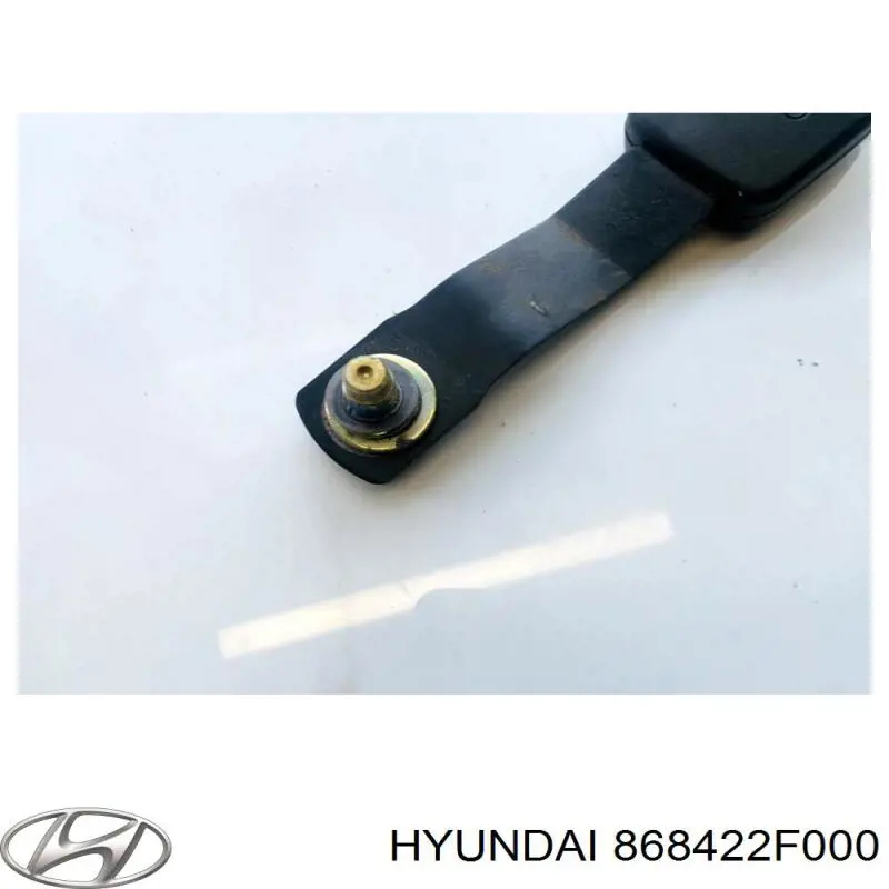868422F000 Hyundai/Kia Protetor de lama traseiro direito