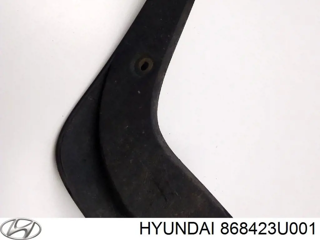 868423U001 Hyundai/Kia Protetor de lama traseiro direito
