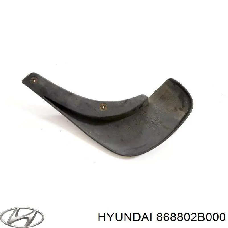 868802B000 Hyundai/Kia Protetor de lama traseiro direito