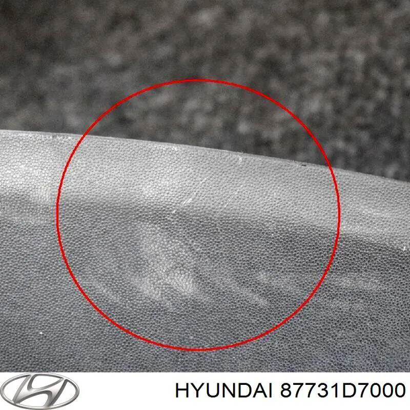 87731D7000 Hyundai/Kia Moldura da porta traseira esquerda