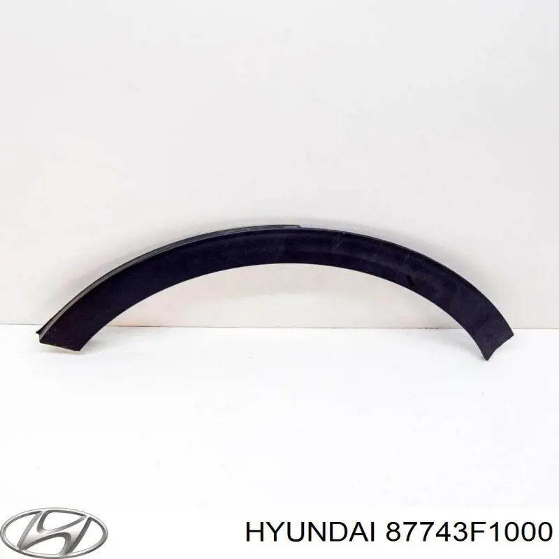 Expansor esquerdo (placa sobreposta) de arco do pára-lama traseiro Hyundai/Kia 87743F1000