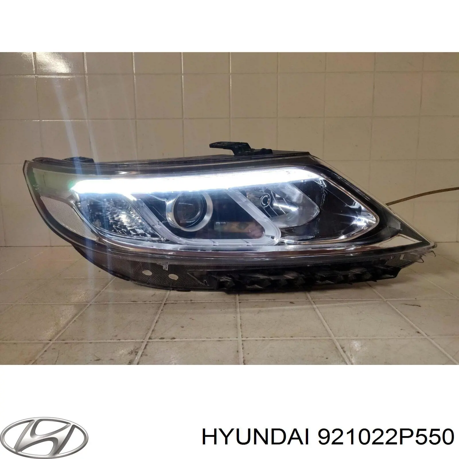 921022P550 Hyundai/Kia Luz direita