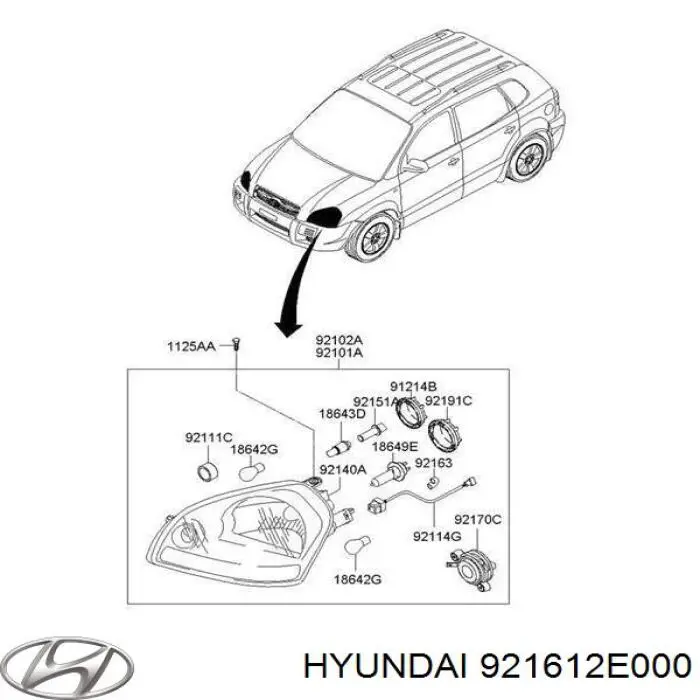 Base (casquilho) de lâmpada da luz Hyundai/Kia 921612E000 preço, a partir de 7,14 USD