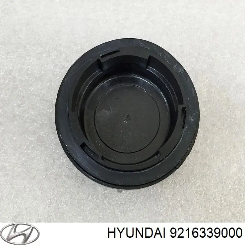 9216339000 Hyundai/Kia Tampa das luzes traseiras