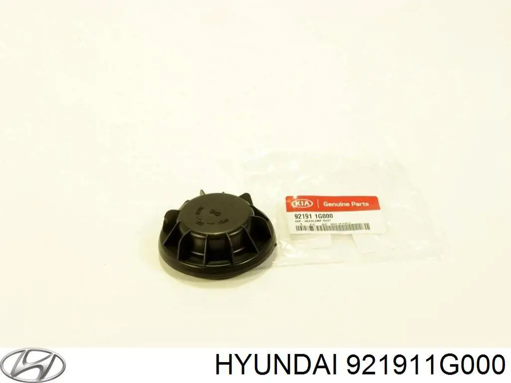 921911G000 Hyundai/Kia Tampa das luzes traseiras
