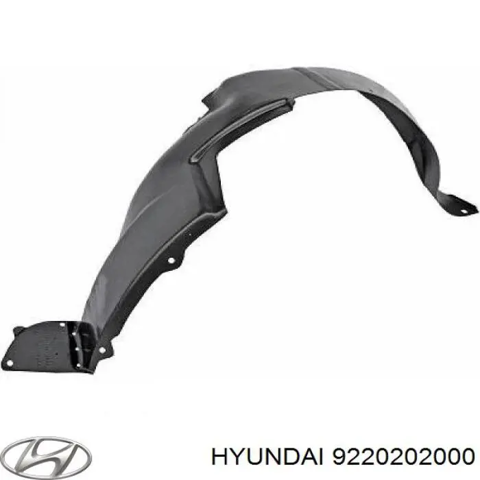 9220202000 Hyundai/Kia Luzes de nevoeiro direitas