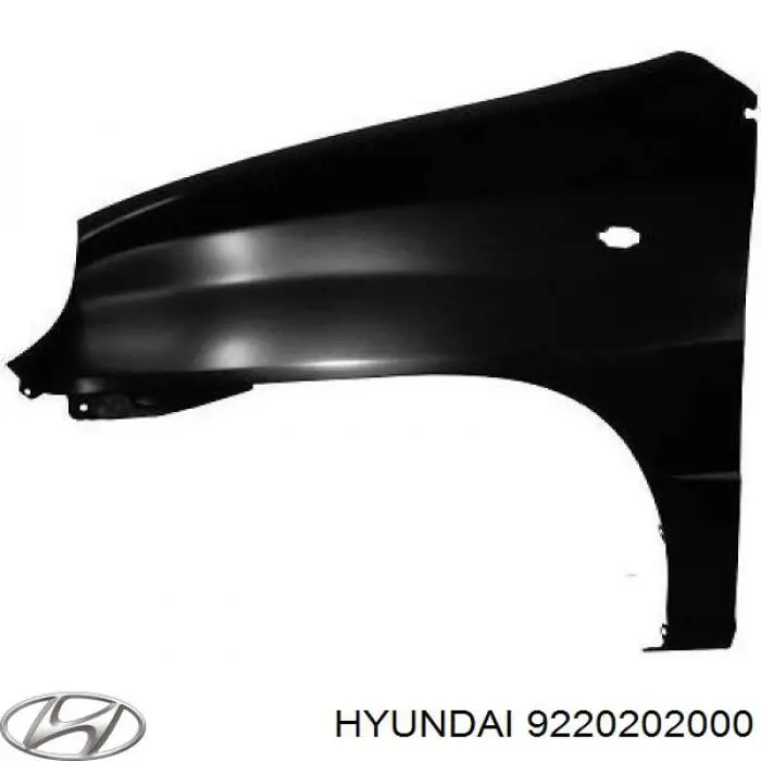 Luzes de nevoeiro direitas 9220202000 Hyundai/Kia