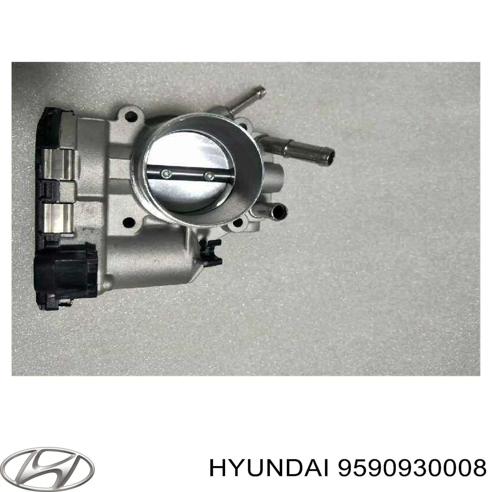 9590930008 Hyundai/Kia Válvula de borboleta montada