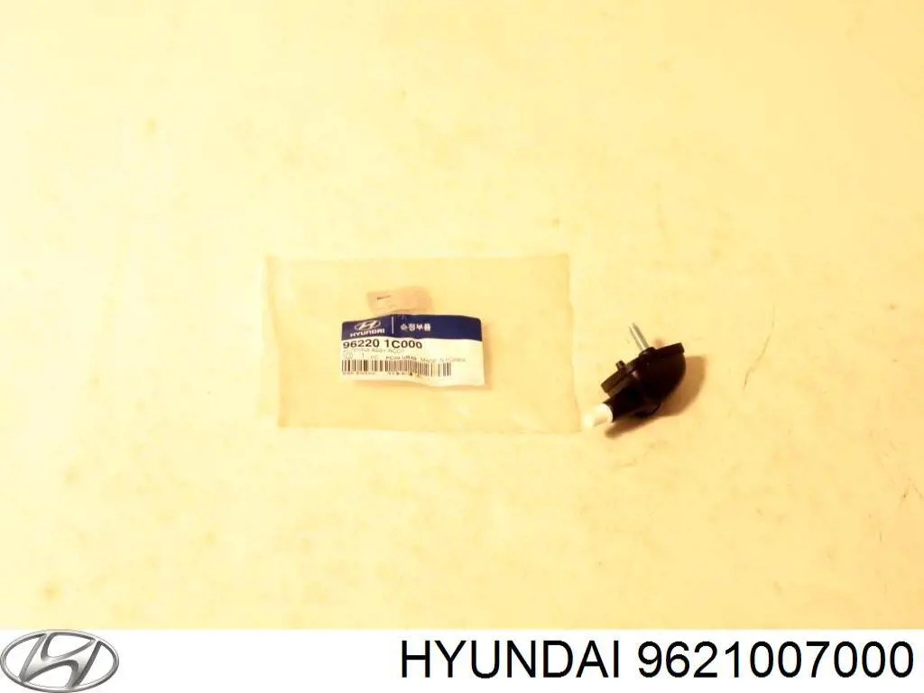 9621007000 Hyundai/Kia Antena