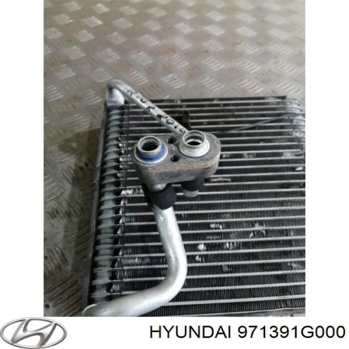 971391G000 Hyundai/Kia Vaporizador de aparelho de ar condicionado