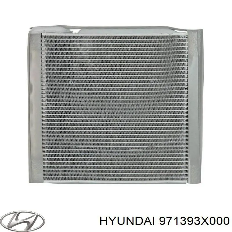 971393X000 Hyundai/Kia Vaporizador de aparelho de ar condicionado