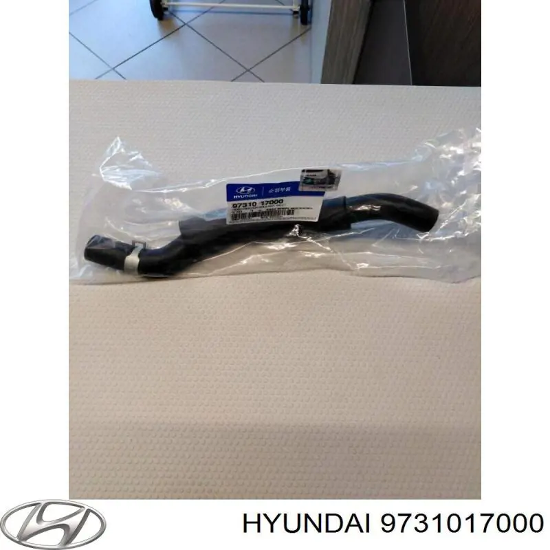 9731017000 Hyundai/Kia Mangueira do radiador de aquecedor (de forno), fornecimento