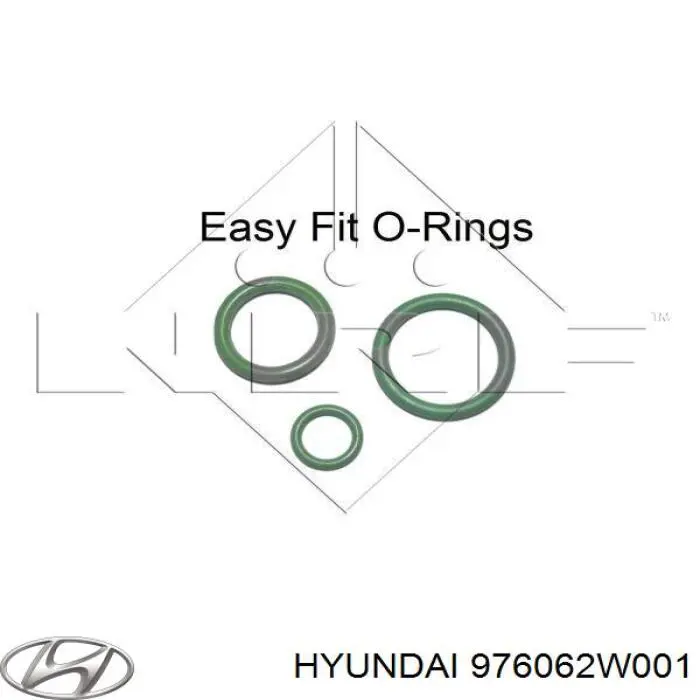 976062W001 Hyundai/Kia Radiador de aparelho de ar condicionado